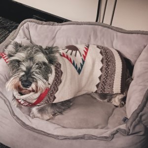 Fritz