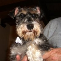 Betzi