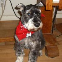 Fritz