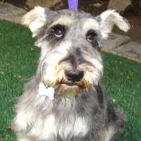 Grover