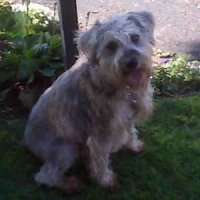 Henry