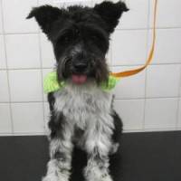 Kaiser