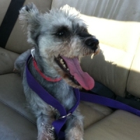 Lilah