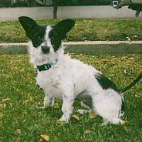 Lucy