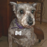 Maggie