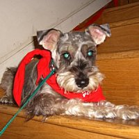 Maggie