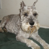 Milly