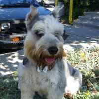 Oliver