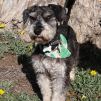 Rango