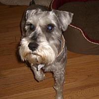 Rufus