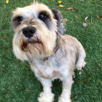 Rupert