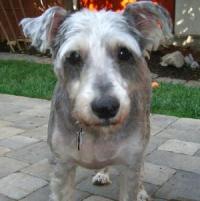 Seamus
