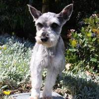 Trudy