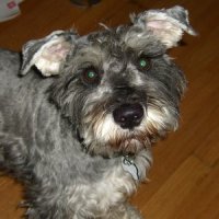 Tucker
