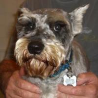 Walter