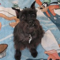 winnie